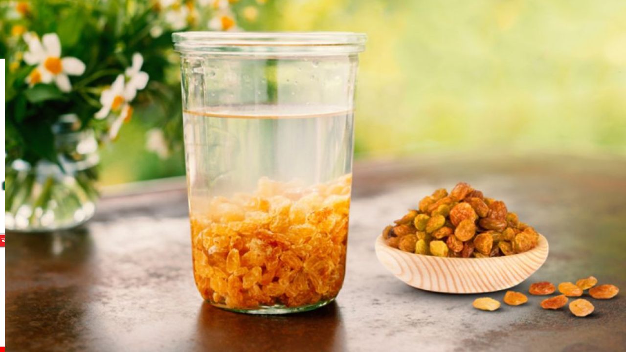 ভেজানো কিশমিশেই লুকিয়ে সুস্থতার চাবিকাঠি, মিলবে যে উপকার