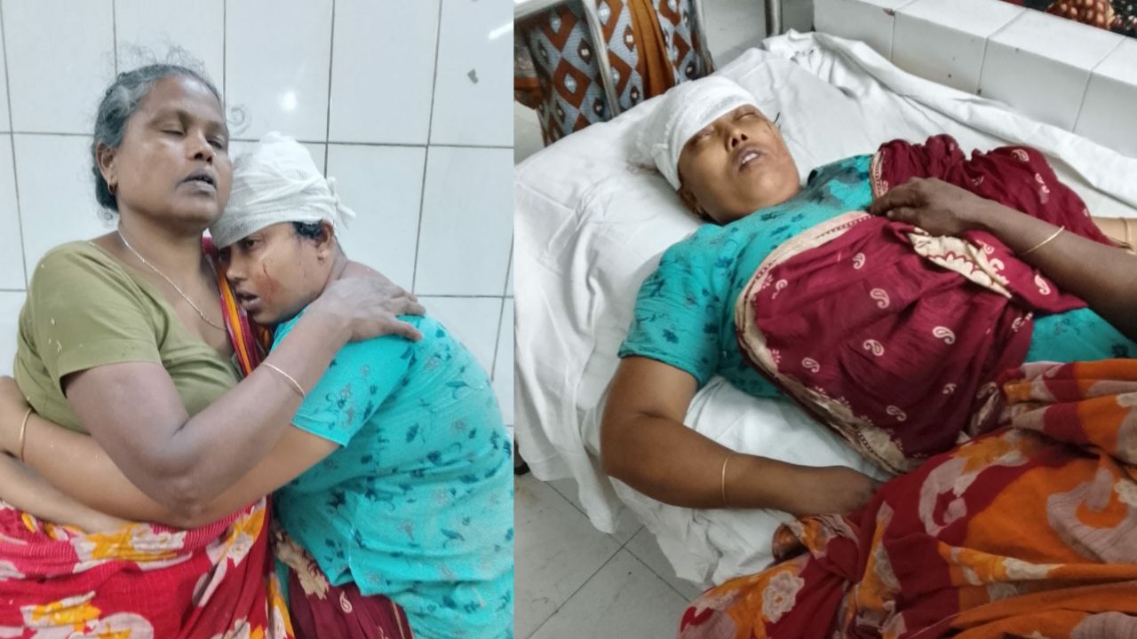 মানিকগঞ্জের শিবালয়ে জমি নিয়ে রক্তক্ষয়ী সংঘর্ষ, নারিসহ ৩ জন গুরুতর আহত